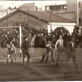 Temporada 1980-1981463