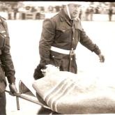 Temporada 1979-1980528