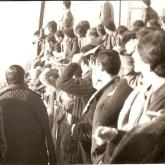 Temporada 1980-1981478