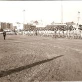 Temporada 1980-1981482