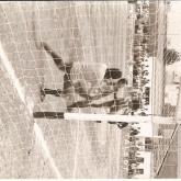 Temporada 1980-1981433