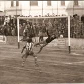 Temporada 1980-1981464