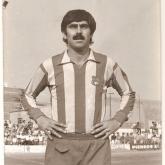 Temporada 1981-1982598