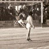 Temporada 1979-1980540