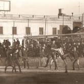 Temporada 1980-1981467