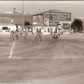 Temporada 1982-1983181