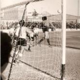 Temporada 1980-1981518