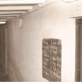 Temporada 1980-1981429