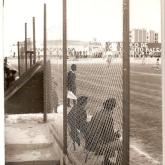 Temporada 1980-1981459