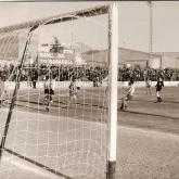 Temporada 1980-1981517