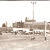 Temporada 1980-1981424