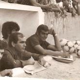 Temporada 1980-1981436