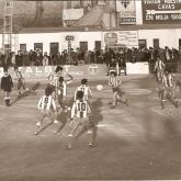 Temporada 1980-1981503