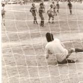 Temporada 1980-1981431