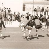 Temporada 1980-1981480