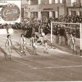 Temporada 1980-1981499