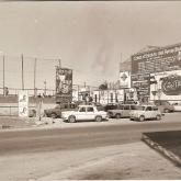Camp de la Creu de Sant Salvador170